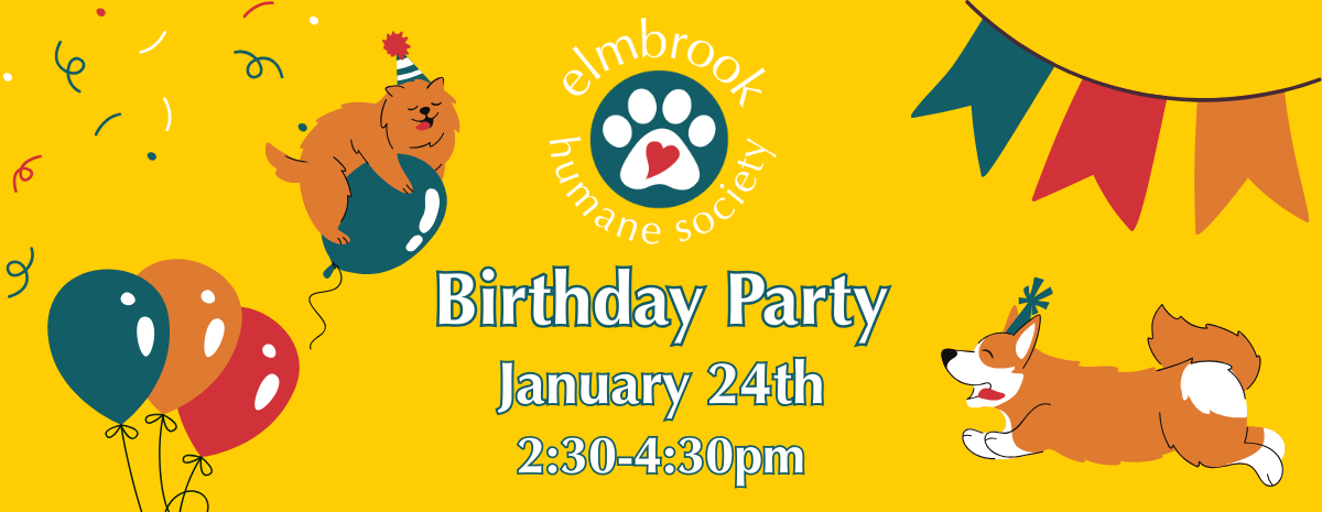 Birthday Party - January 24th, 2:30-4:30pm